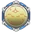 IO Rectified Reticle