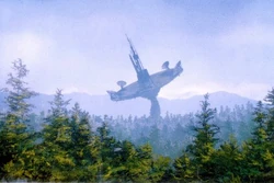 SLD-26.jpg