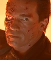 Terminator 2 end.jpg