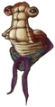 Womwa UA.jpg