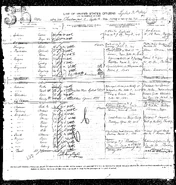 Olson-Lena 1914 manifest 001a