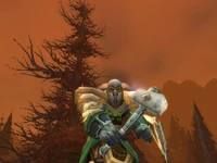 Image of Seinä The Shaman