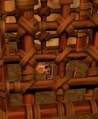 Bones in cage.jpg