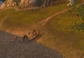 Rackmore's rowboat.jpg