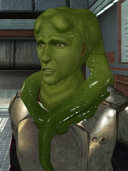 Kandon Ark.jpg