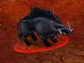 Grunter.jpg