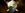 LENFlag7
