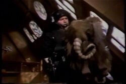 Stuffed Bantha