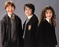 Harryronhermoine.jpg