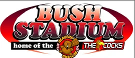 BushStadium