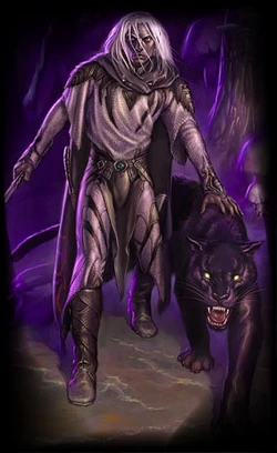 Drizzt und Guenhwyvar.jpg