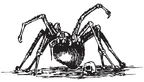 SpiderW1