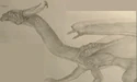 DragonKQ8