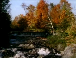 Film.Falltowinter