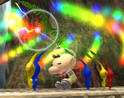 Pikmin 080111k-l