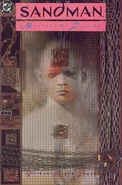 Sandman 5
