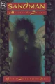 Sandman 8
