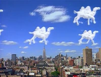 CamelClouds.jpg