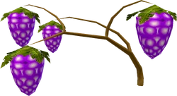 Cambyberries.png