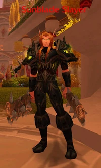 Image of Sunblade Slayer