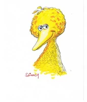 Coy-Bird