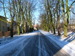 Kasztanowa, widok od strony Piłsudskiego