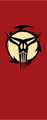 Tskull banner