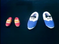 Tapshoes.jpg