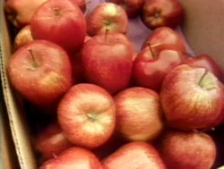 LasManzanas