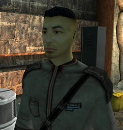 Adrenas.jpg