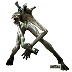 GrayJack