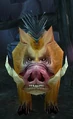 Loyal Boar.jpg