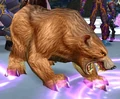 Arena Battle-Bear.jpg