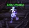 Baby Murloc