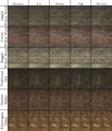 Qeynos House Floor Compare.png