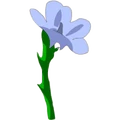 Flax Flower