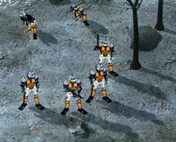 Riflemen