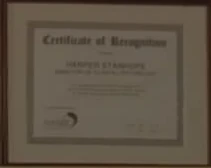 Hanso diploma.jpg