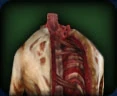 CarrionCarcass.jpg