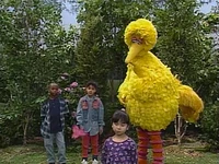 3427e.jpg