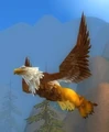 Soaring Razorbeak.jpg