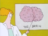 NancyEinstein.Brain.jpg