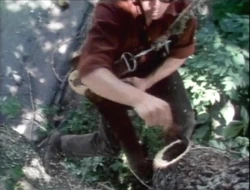 Treesurgeon