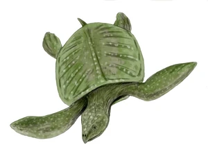 Species- Archelon