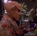 Quark-with-Andarian-glass-beads.jpg