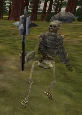 Skeleton Wraith Live