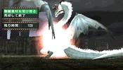 Wf