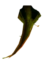 Whipcrack