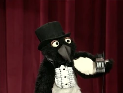 Sheckypenguin