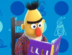 Bertbook-socks